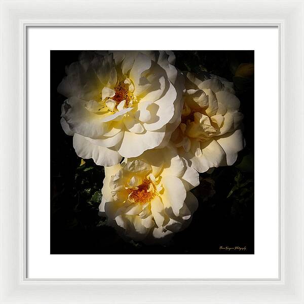 Yellow bloom - Framed Print
