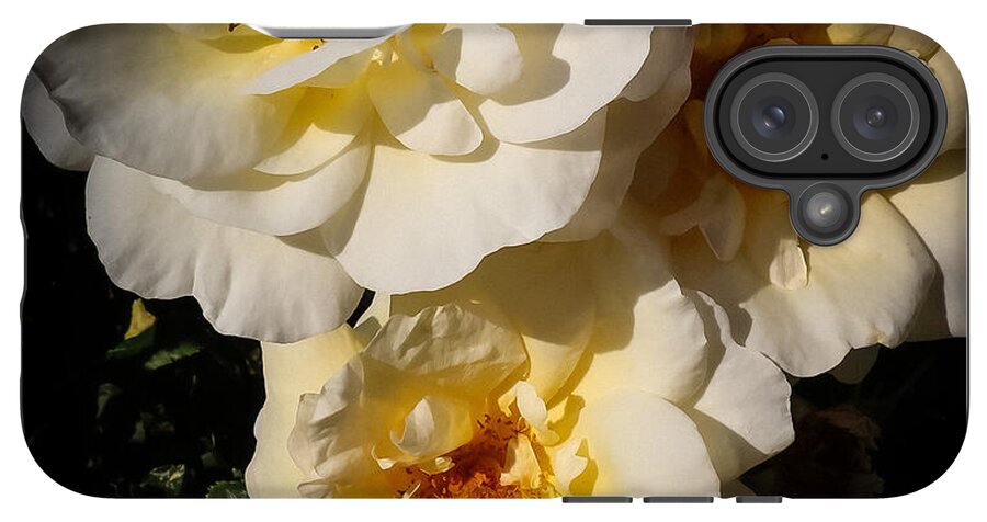 Yellow bloom - Phone Case