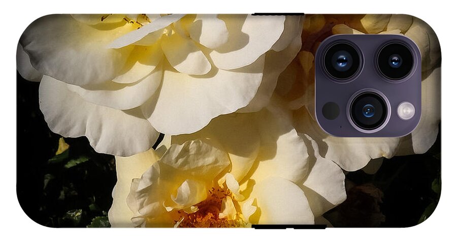 Yellow bloom - Phone Case