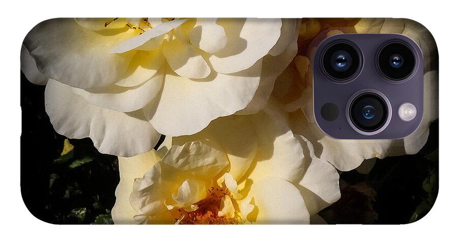 Yellow bloom - Phone Case