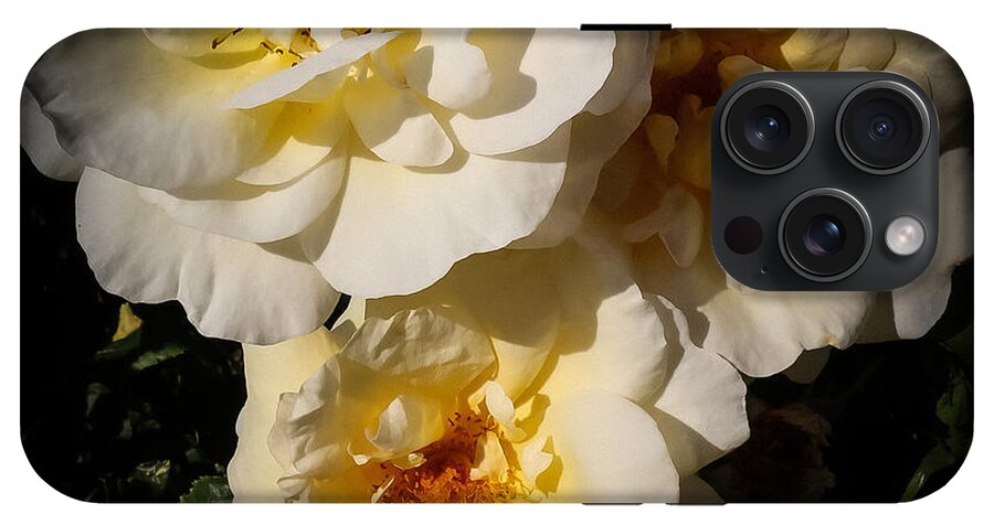 Yellow bloom - Phone Case