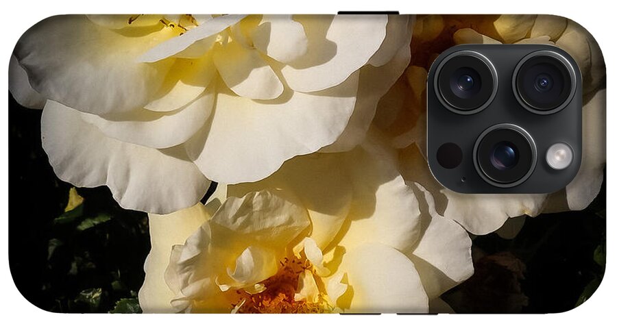 Yellow bloom - Phone Case