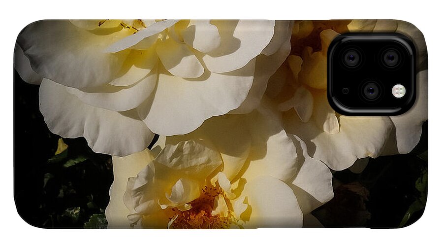 Yellow bloom - Phone Case
