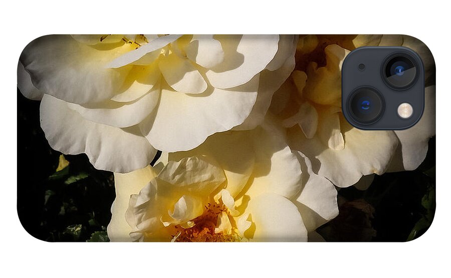 Yellow bloom - Phone Case