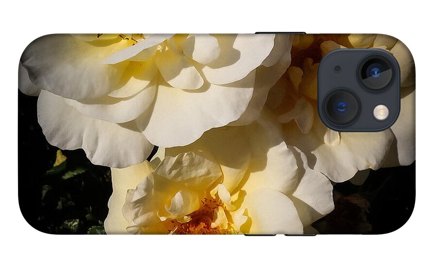 Yellow bloom - Phone Case