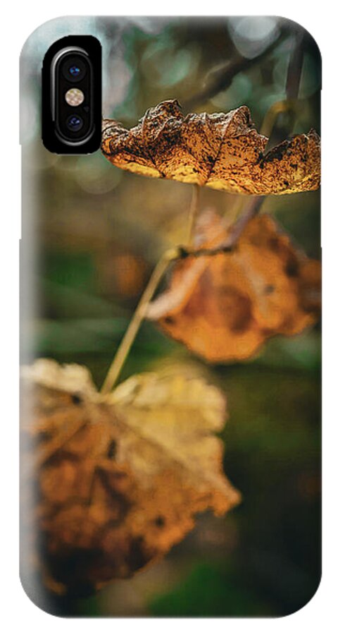 Yellow leaves - Phone Case