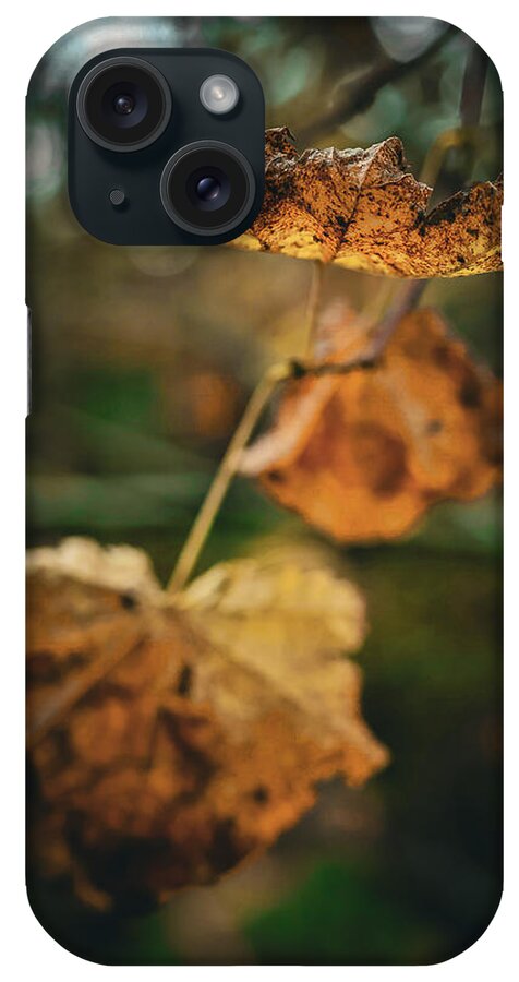Yellow leaves - Phone Case