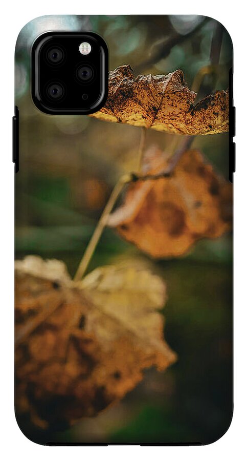 Yellow leaves - Phone Case