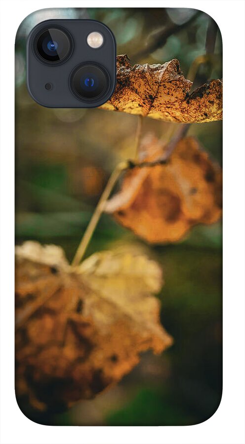Yellow leaves - Phone Case