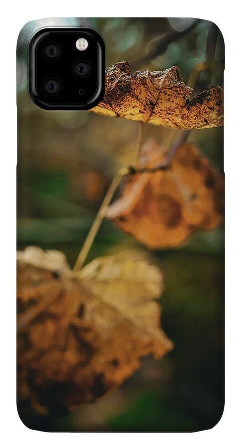 Yellow leaves - Phone Case