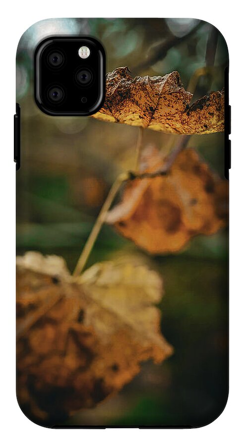 Yellow leaves - Phone Case