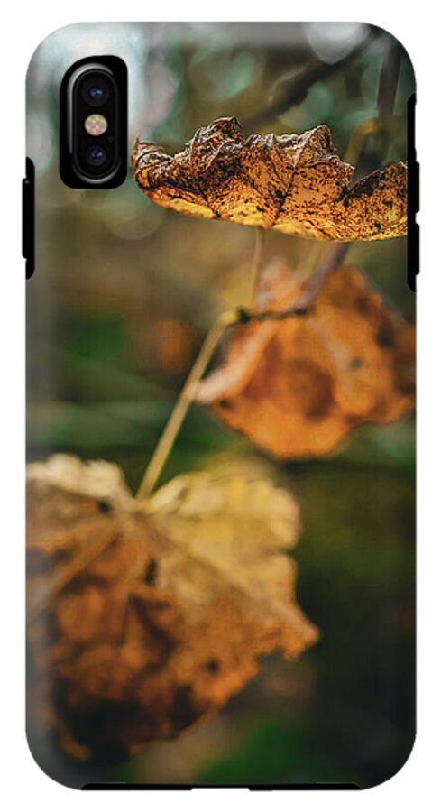 Yellow leaves - Phone Case