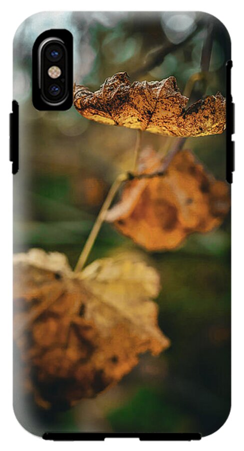 Yellow leaves - Phone Case