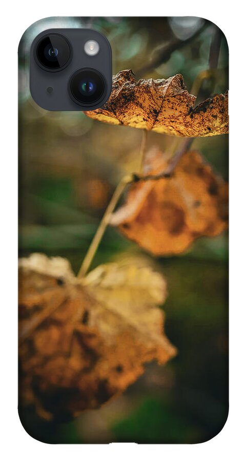 Yellow leaves - Phone Case