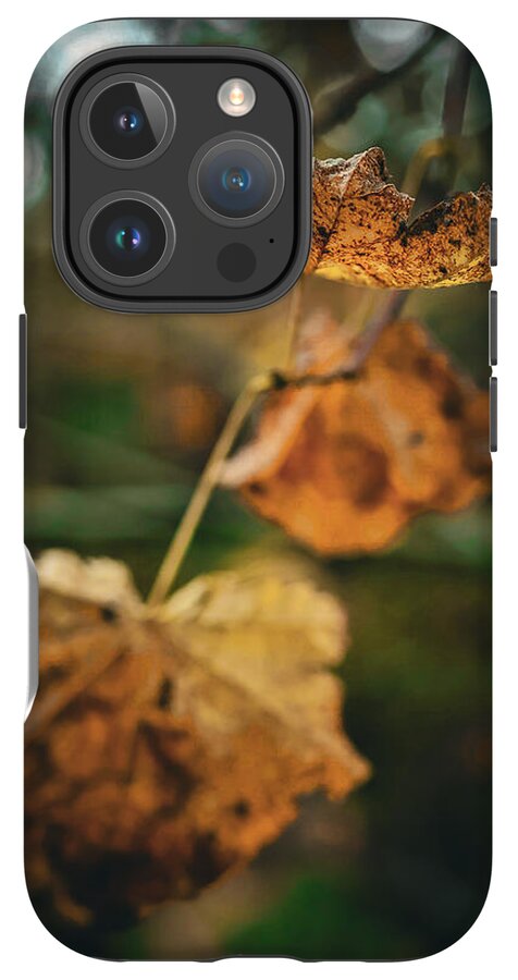 Yellow leaves - Phone Case