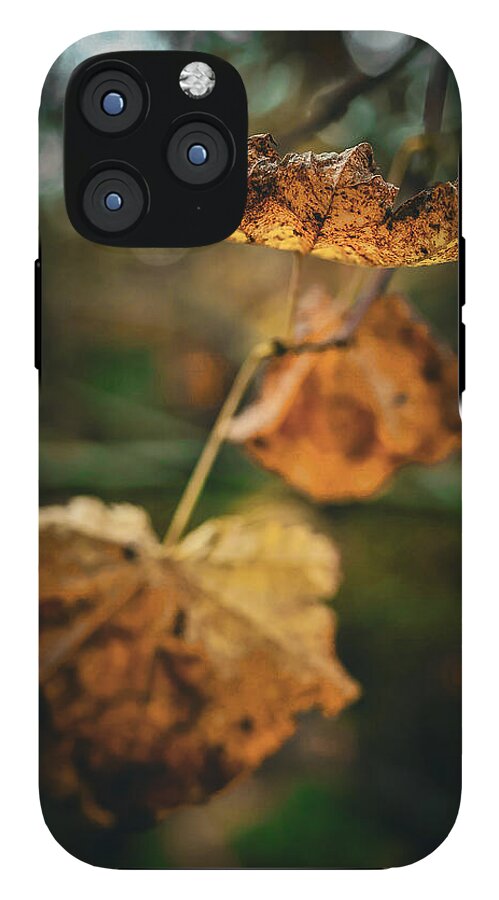 Yellow leaves - Phone Case