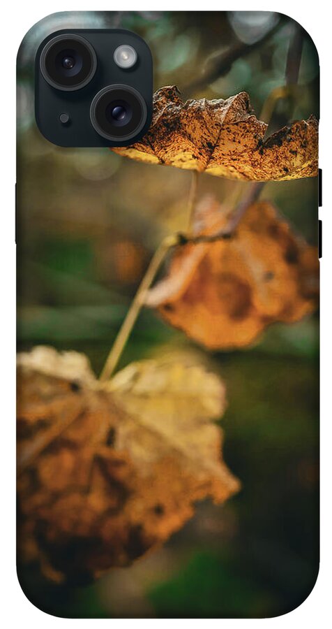 Yellow leaves - Phone Case