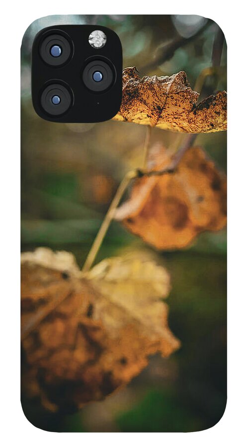 Yellow leaves - Phone Case