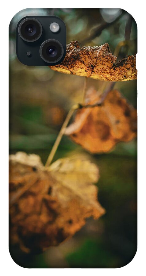 Yellow leaves - Phone Case