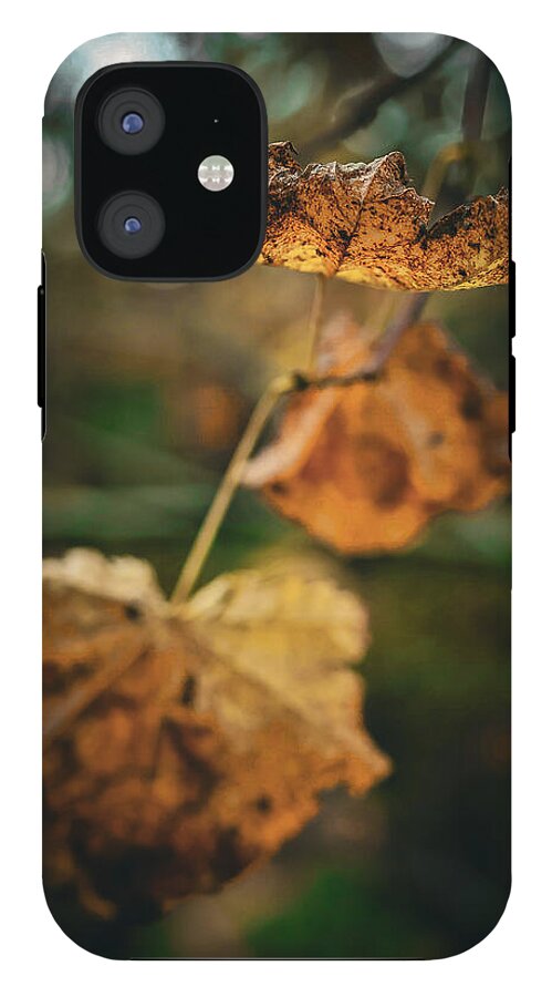 Yellow leaves - Phone Case