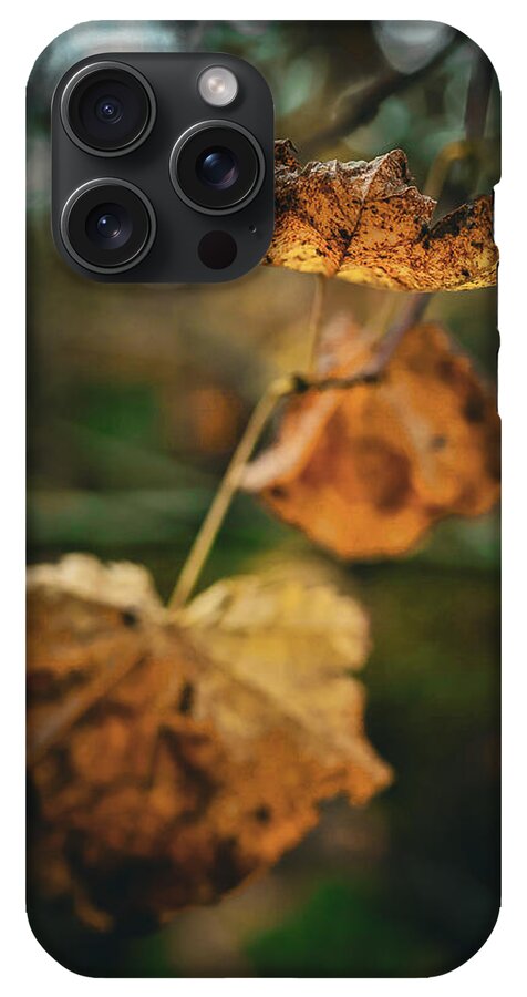 Yellow leaves - Phone Case