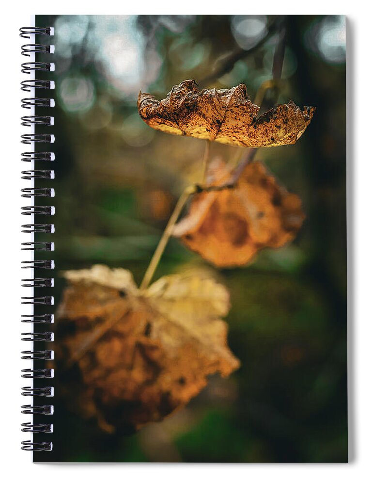 Yellow leaves - Spiral Notebook