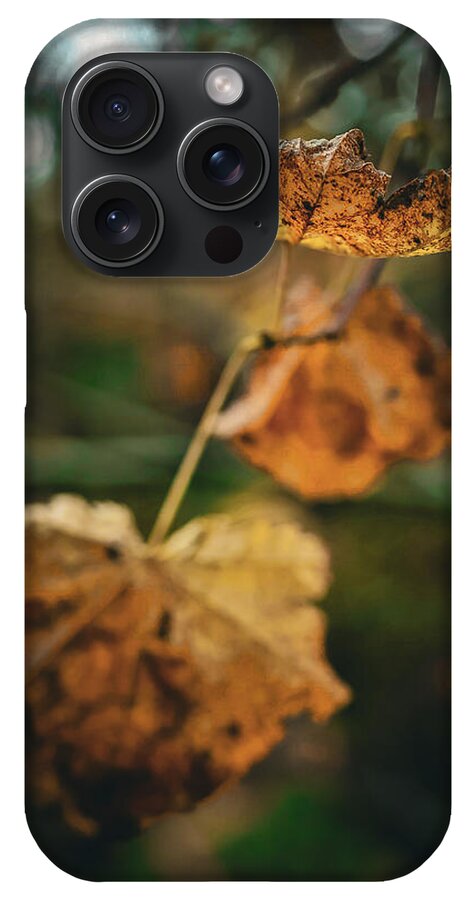 Yellow leaves - Phone Case