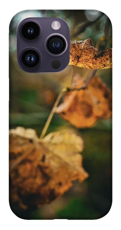 Yellow leaves - Phone Case