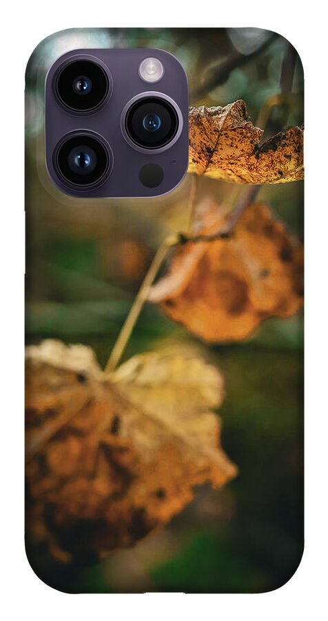 Yellow leaves - Phone Case