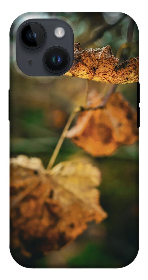 Yellow leaves - Phone Case