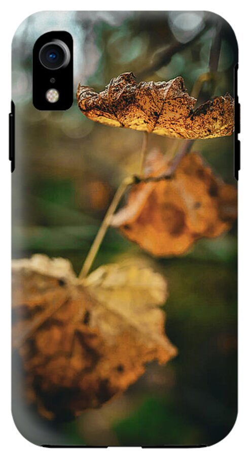 Yellow leaves - Phone Case