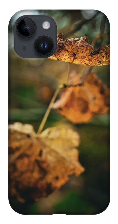 Yellow leaves - Phone Case