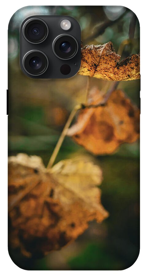 Yellow leaves - Phone Case