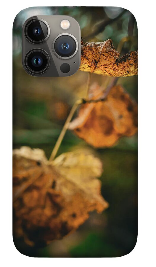 Yellow leaves - Phone Case