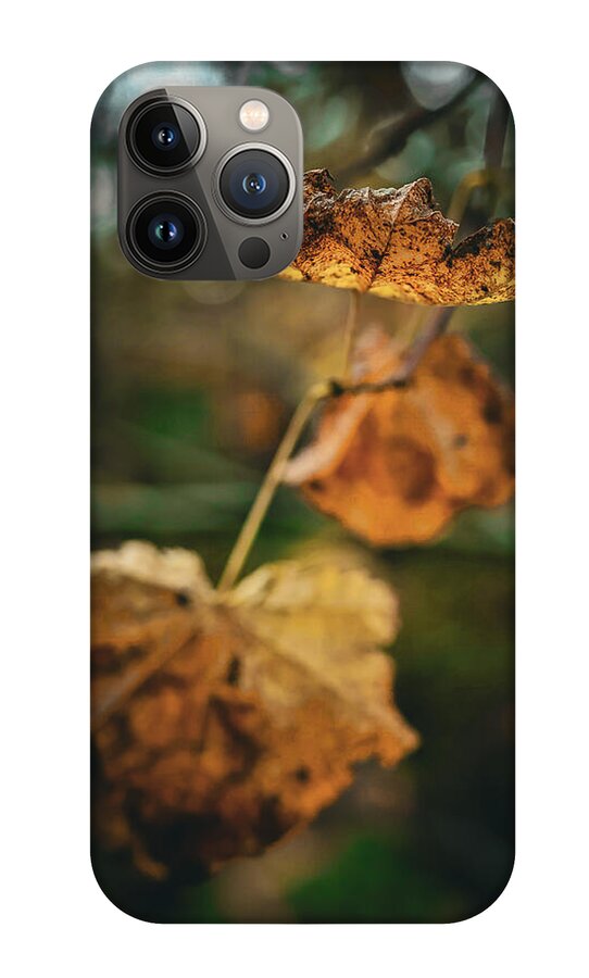 Yellow leaves - Phone Case