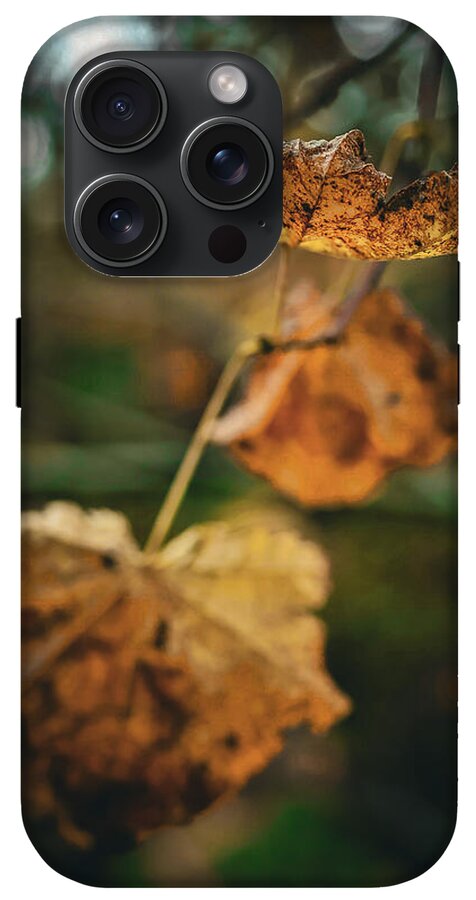 Yellow leaves - Phone Case