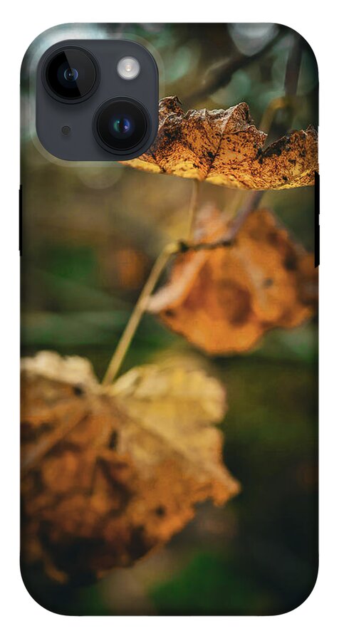 Yellow leaves - Phone Case