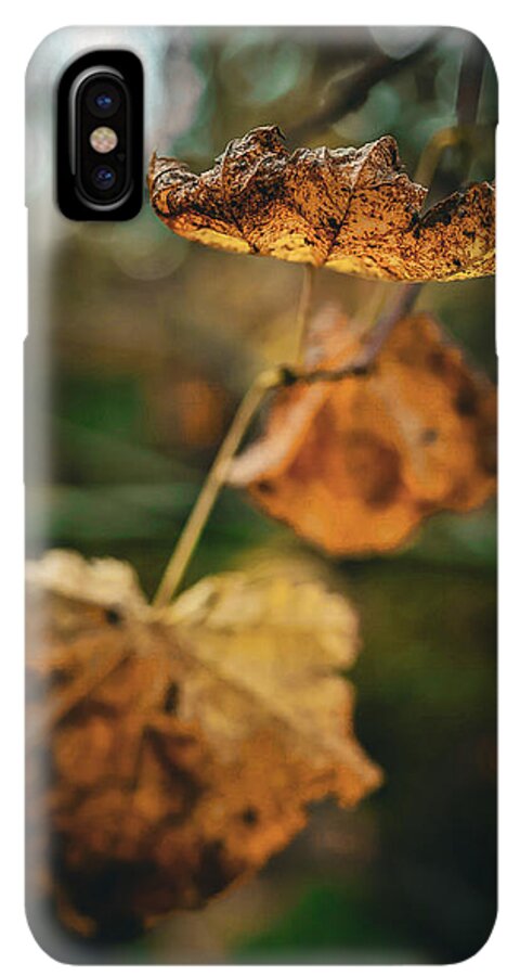 Yellow leaves - Phone Case