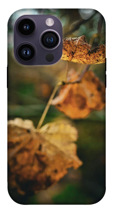 Yellow leaves - Phone Case