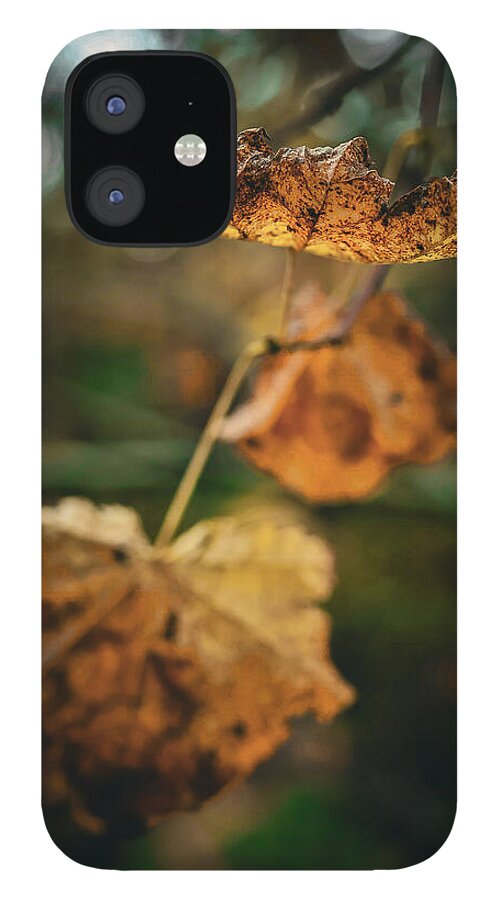 Yellow leaves - Phone Case