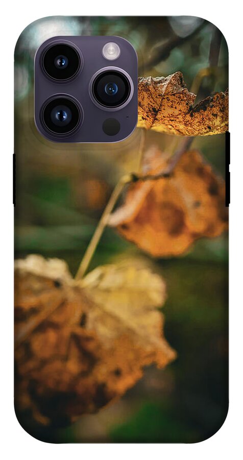 Yellow leaves - Phone Case