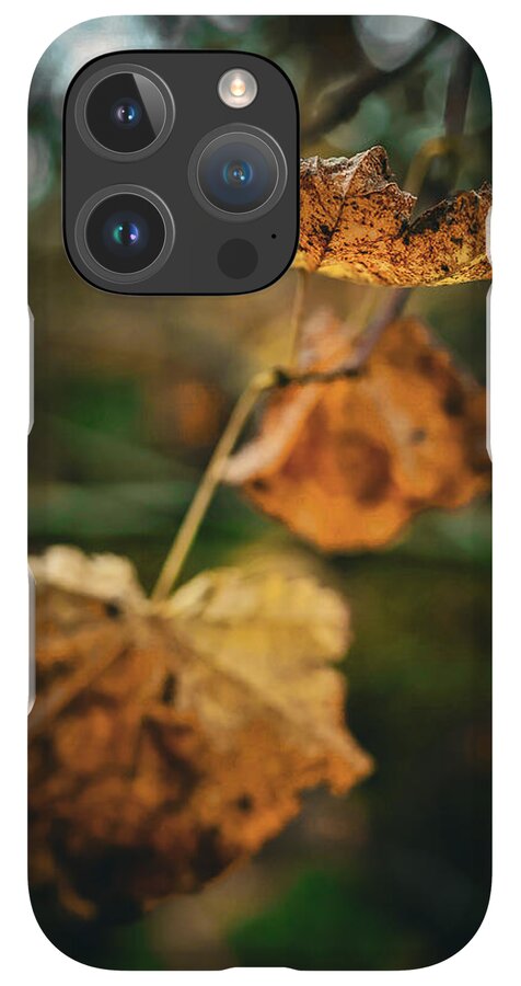 Yellow leaves - Phone Case