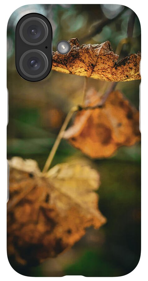 Yellow leaves - Phone Case