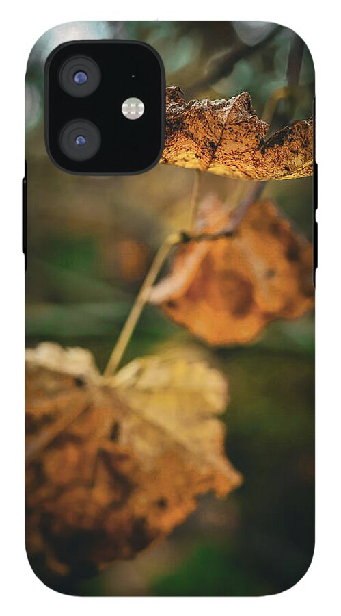 Yellow leaves - Phone Case