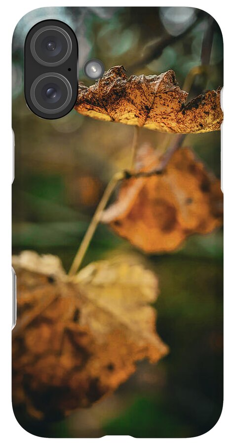 Yellow leaves - Phone Case