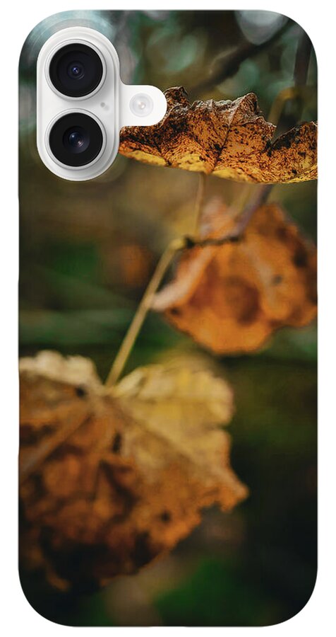 Yellow leaves - Phone Case