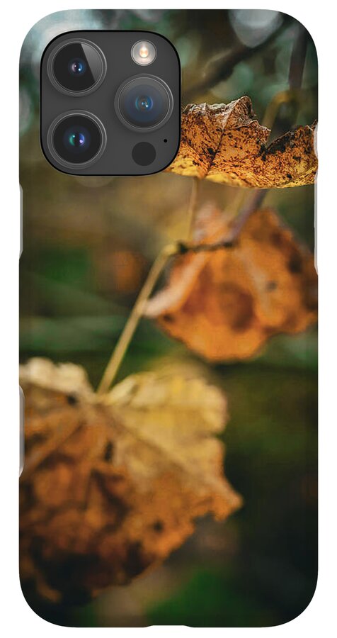 Yellow leaves - Phone Case