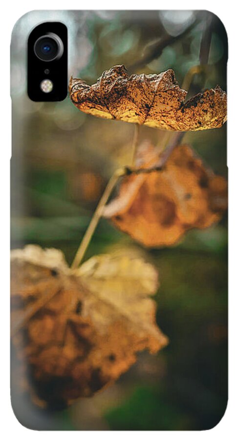 Yellow leaves - Phone Case