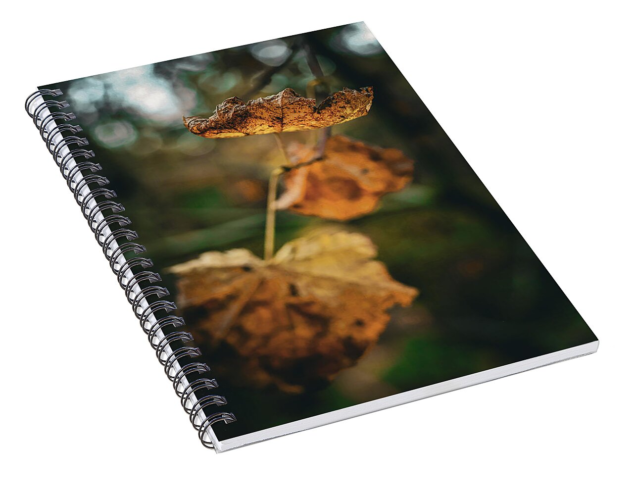 Yellow leaves - Spiral Notebook
