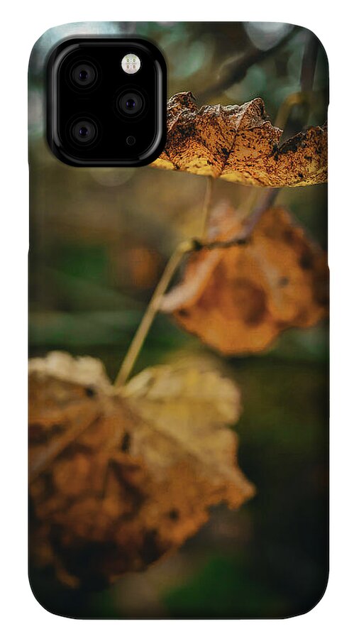 Yellow leaves - Phone Case
